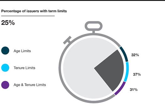 Infographic of the percentage of issuers with term limits.